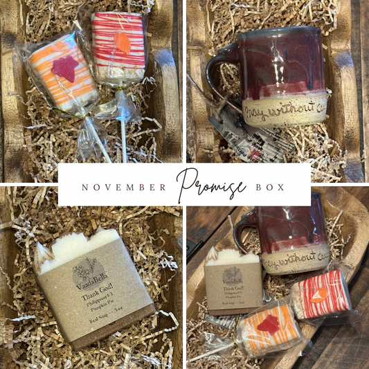 November Promise Box